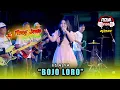 Lagu BOJO LORO - IIS ALYA WONGJOWO MADIUN X ROYA AUDIO PRO LIVE MAOSPATI