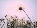 ОДИН В КАНОЕ ■ІКОНИ■ /ШІСТДЕСЯТНИКАМ.../
