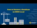 How to Restore a Database on DDEV-Local