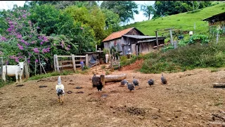 Ela ainda vive assim  nos dias de hoje # como se fosse a muitos anos atrás...