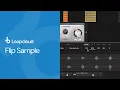Introducing Flip Sample