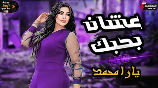 الملكة يارا محمد في قمة الروقان والحظ موال عشان بحبك      دندنها