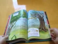 Mcgraw-Hill Reading Wonders 2 Literature Anthology