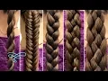 5 Basic Styles