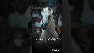 يارياح الشوق روحي   دندنها