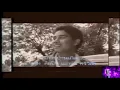 รักเก่าที่บ้านเกิด เอกชัย ศรีวิชัย เพลงดังอมตะ