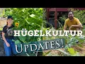 Hugelkultur Update - With Greg from Some Room to Grow