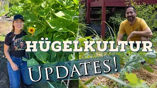 Hugelkultur Update - With Greg from Some Room to Grow