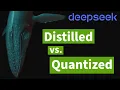 DeepSeek R1 Distilled Quantized Models Explained