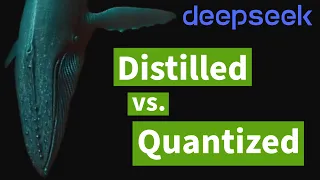 DeepSeek R1 Distilled Quantized Models Explained