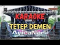 Download Lagu TETEP DEMEN KARAOKE ANICA NADA DIAN ANIC MP3