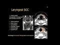 Download Lagu Imaging of larynx