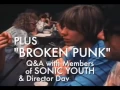 Download Lagu Sonic Youth - 1991: The Year Punk Broke