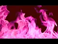 Download Lagu 1111Hz ROZE VLAM • TREK LIEFDE, TWEELINGVLAMMEN, ZIELMATES, ZELFLIEFDE, HARMONIE \u0026 VREDE AAN