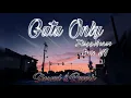 Download Lagu Gata Only by FloyyMenor Cris MJ | Slowed \u0026 Reverb | Wild Wings 
