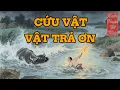 Download Lagu Cứu một con trâu - Đổi cả đời người | Audio Truyện Cổ Nhân
