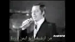 عموري يا عموري دندنها