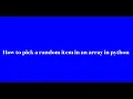 How to pick a random item in an array in python