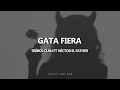 Gata Fiera Trébol Clan ft Héctor el Father Letra