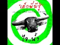 เด็กพี่มีชู้