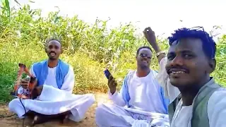 الاستاذ ادريس محمد عمر والغوالي حماده و علوبه 