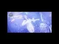 Download Lagu DJ Amel Alvi 2015 at Terrace Jogja