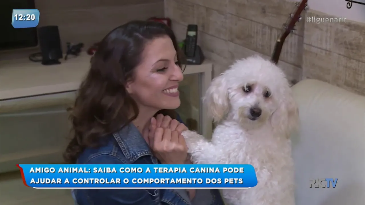 Saiba como a terapia canina pode ajudar a controlar o comportamento dos pets