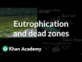 Eutrophication and dead zones Ecology Khan Academy