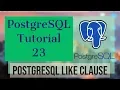 PostgreSQL Tutorial for Beginners 23 - PostgreSQL LIKE Clause