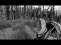 Download Lagu The Sasquatch Want To Communicate With Me?