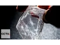 813-carat rough diamond unveiled in Paris
