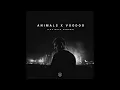 Martin Garrix, R3HAB & Skytech - Animals X Voodoo ( The Mach Rework ) Unreleased Music 2026