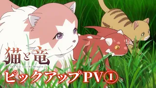 YouTube影片, 內容是貓與龍 的 重點PV