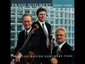 String Trio in D major, D 384: II. Andante