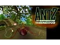 Antz Extreme Racing ... (PS2) Gameplay