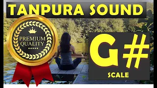 Tanpura G Scale G Sharp Tanpura All Tanpura Scales in
