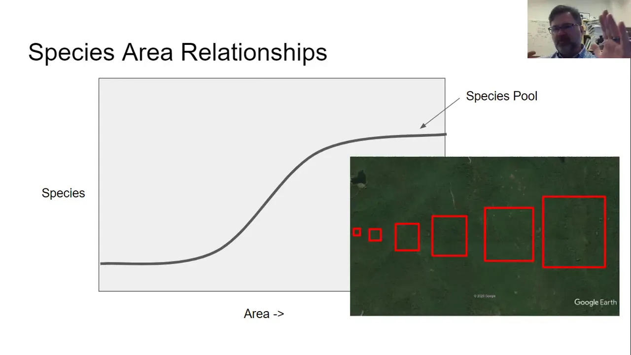 Conservation Biology: Habitat Fragmentation Part 1
