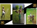 Download Lagu Agriculture is a future status 🌾|| Power of agriculture whatsapp status🌾|| Farmer status||#shorts