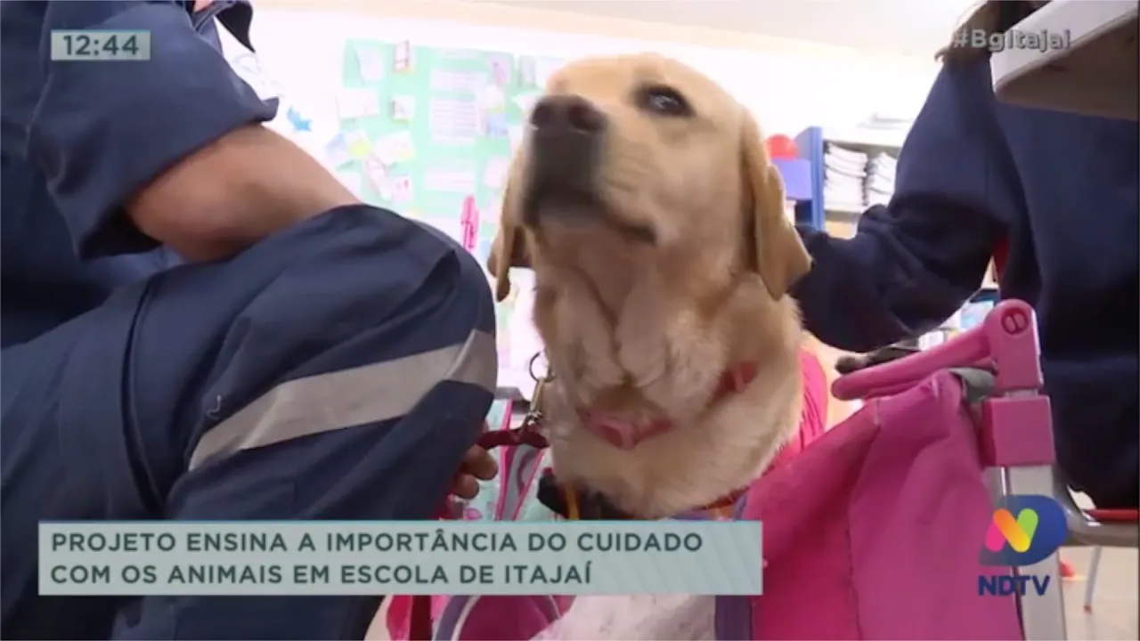 Projeto ensina a importância do cuidado com os animais em escola de Itajaí