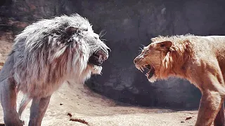 mufasa vs kiros final fight scene mufasa the lion king 2024 movie clip hd