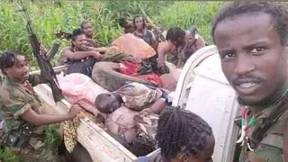 Lola WBO Fi Bixigina Gootichaa Waraanaa Billisumma Oromoo Injifannoo Argachuu  Lola WBO Fi Bixigina Gootichaa Waraanaa Billisumma Oromoo Injifannoo Argachuu