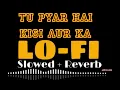 Download Lagu Tu Pyar Hai Kisi Aur Ka slowed and reverb | Anuradha P,Kumar / artist abhi and Tushar 😎
