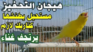 أقوى تحفيز لطيور الكناري أأأستحالة يصمت معها نار نار Cinary Singing2020 