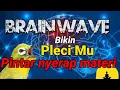mudah ditiru masteran pleci ini bikin pleci mu nembak | masteran gampang ditiru semua jenis pleci