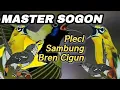Download Lagu MASTERAN PALING MUDAH MASUK📍Pleci Sambung Bren Cigun#sogon #sogokontong