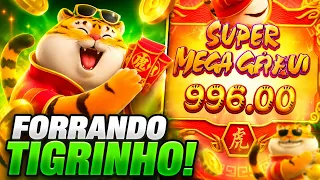 JOGO DO TIGRINHO GANHOS COMO É O JOGO DO TIGRINHO É SEGURO COMO É ESSE JOGO DO TIGRINHO DEPOIMENTO