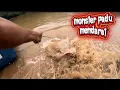 Download Lagu Monster BEM saiz padu mendarat