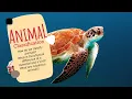 Animal Classification What are the 6 Classifications