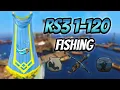 RS3 1 - Fishing Guide