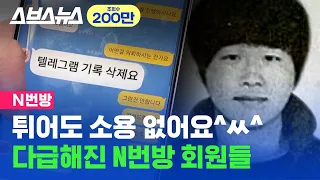 텔레그램 탈퇴 대피 IP 추적 당해 난리난 N번방 회원 근황 Feat 호다닥 스브스뉴스 